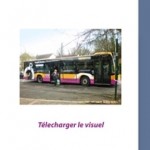 nlt-02-dte