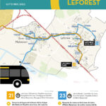 cLEFOREST