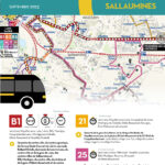 cSALLAUMINES