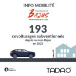 Bajus