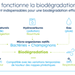 biodegradation