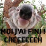 Capture d’écran 2025-12-08 145823